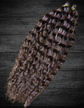 Brownie - Ariel Curl