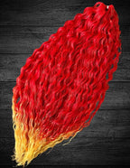 Firecracker - Ariel Curl